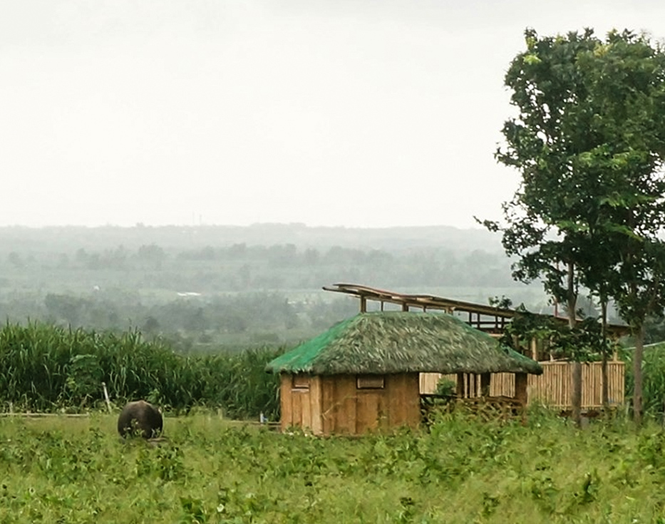 A bamboo hut in a grassy terrain in the Philippines