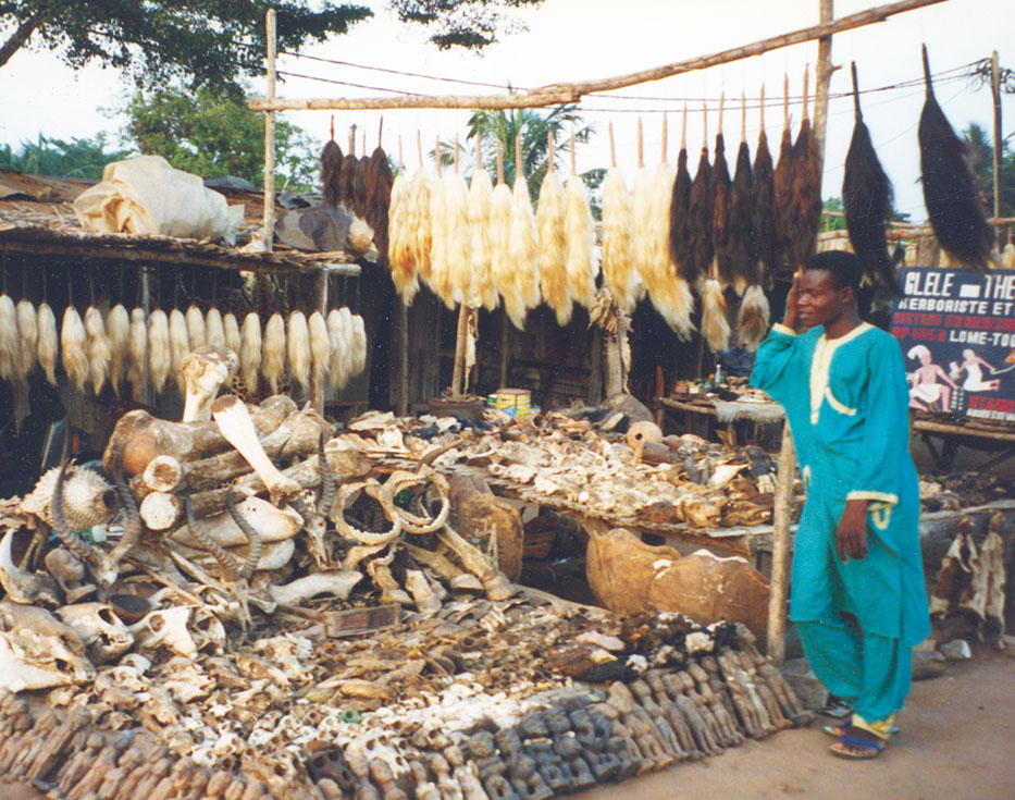 Young Togolese man stand in front of a shop selling idols, bones, and feathers