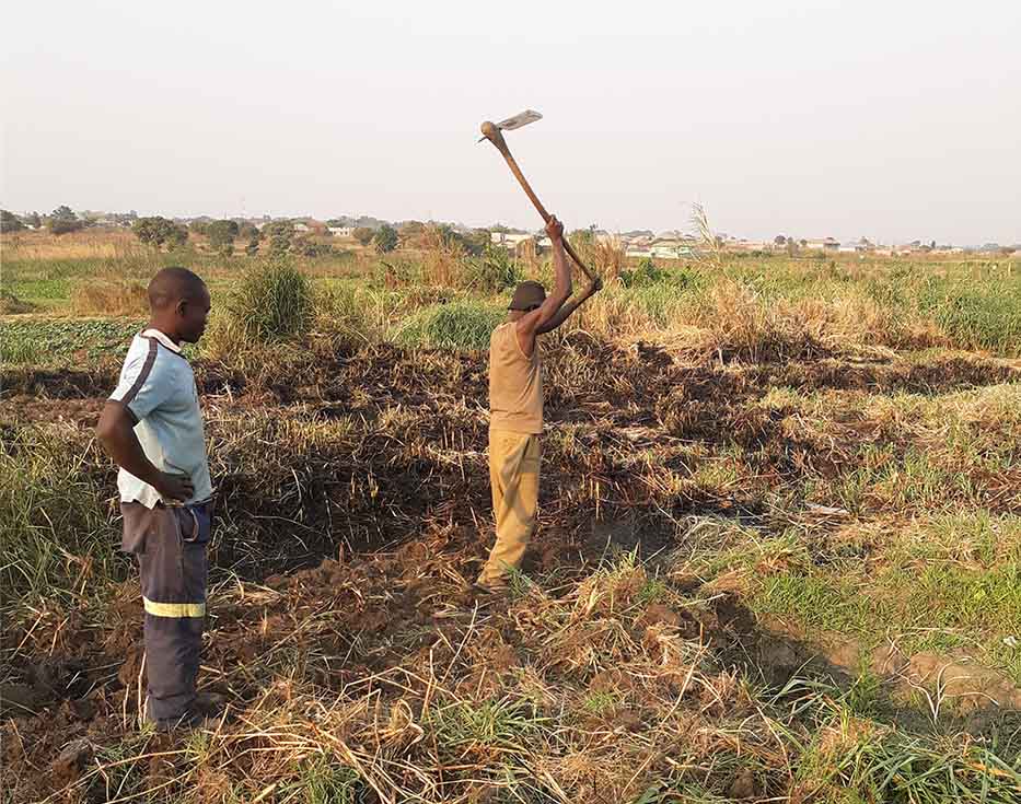 Zambian man tilling his field by hand while another stands by watching